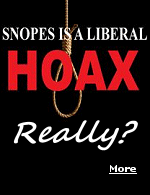 Myth-busting website Snopes originally gained recognition for being the go-to site for disproving outlandish urban legends. Now it is accused of posing as a political fact-checker, heavily tilted towards the likes of Hillary Clinton. Could this be true?